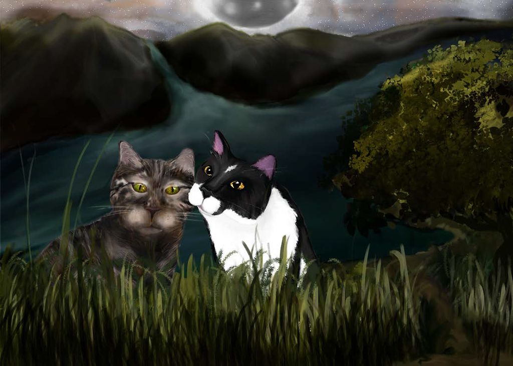 "Duck & Goose": Sample artwork for children's book