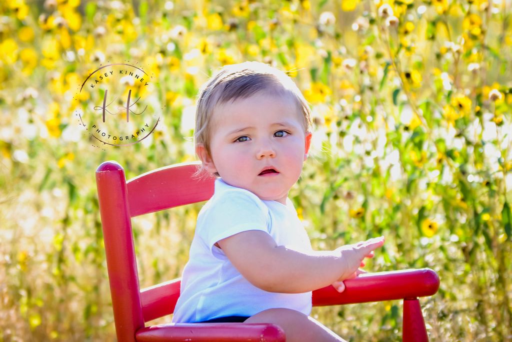 Nolie Sunflowers in Colorado Springs