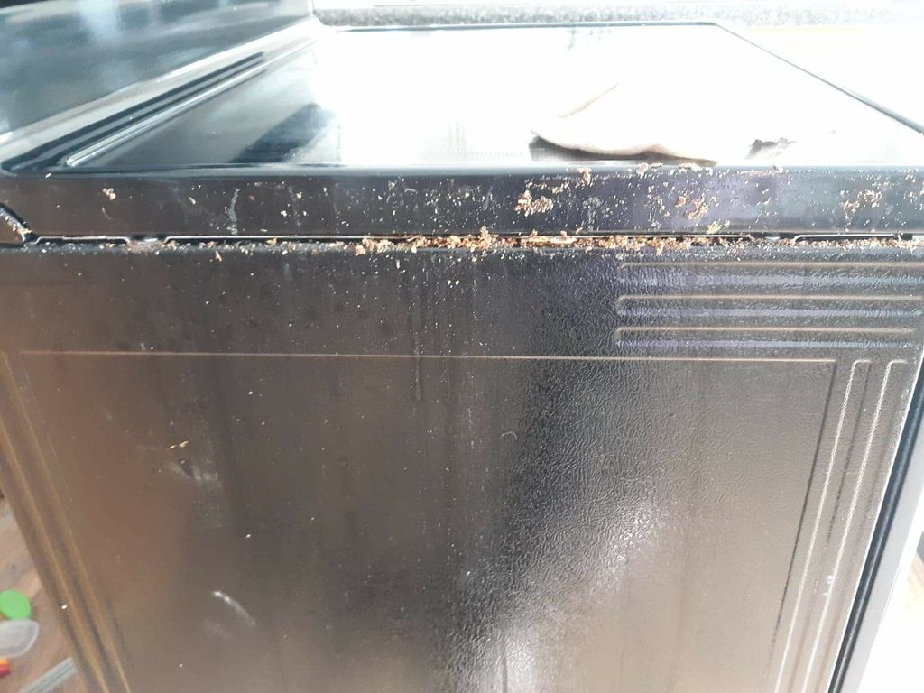 before deep clean 