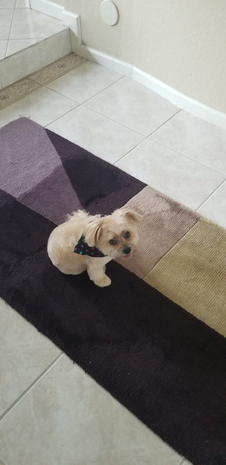 Customer photos