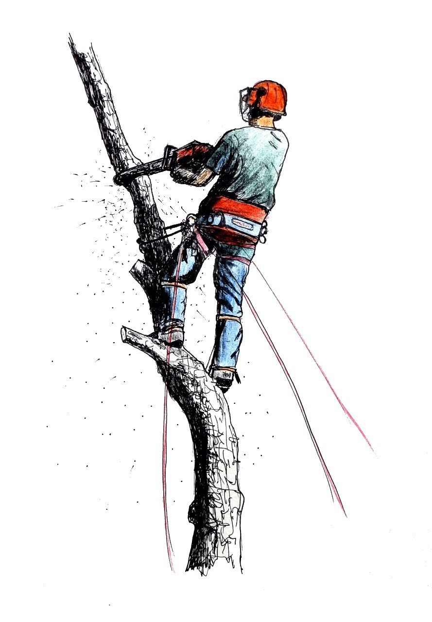 Warne’s Tree Service LLC