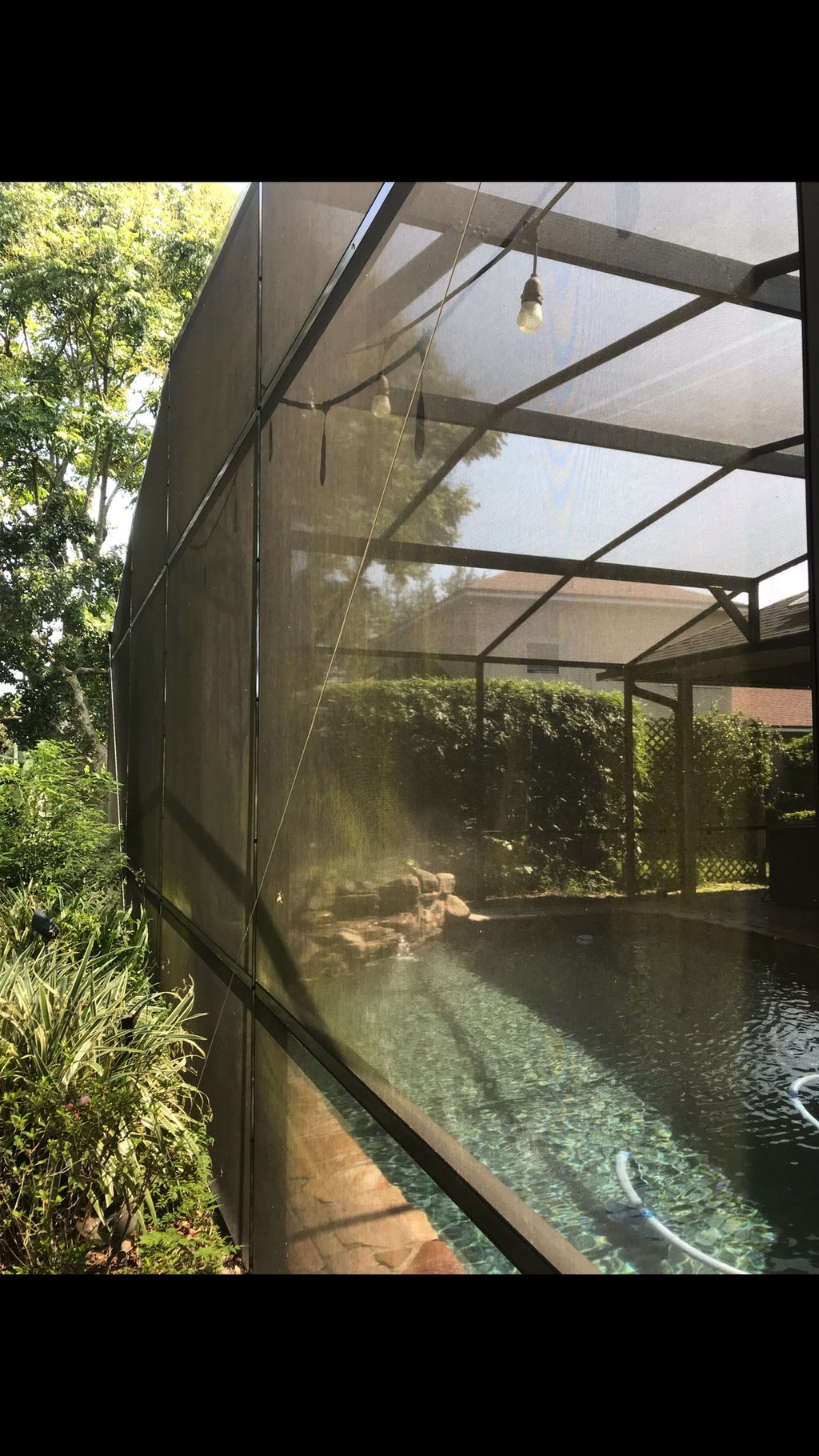 A lot of algae buildup on this screen enclosure 