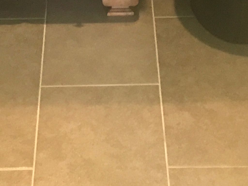 Tile and Grout Cleaning Before