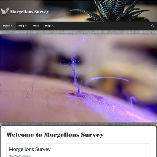Morgellons Survey