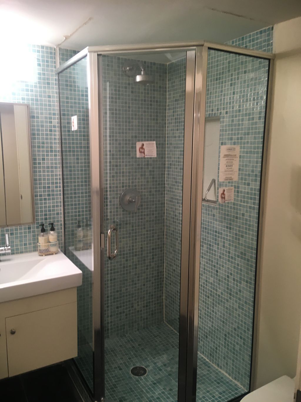 Custom shower door