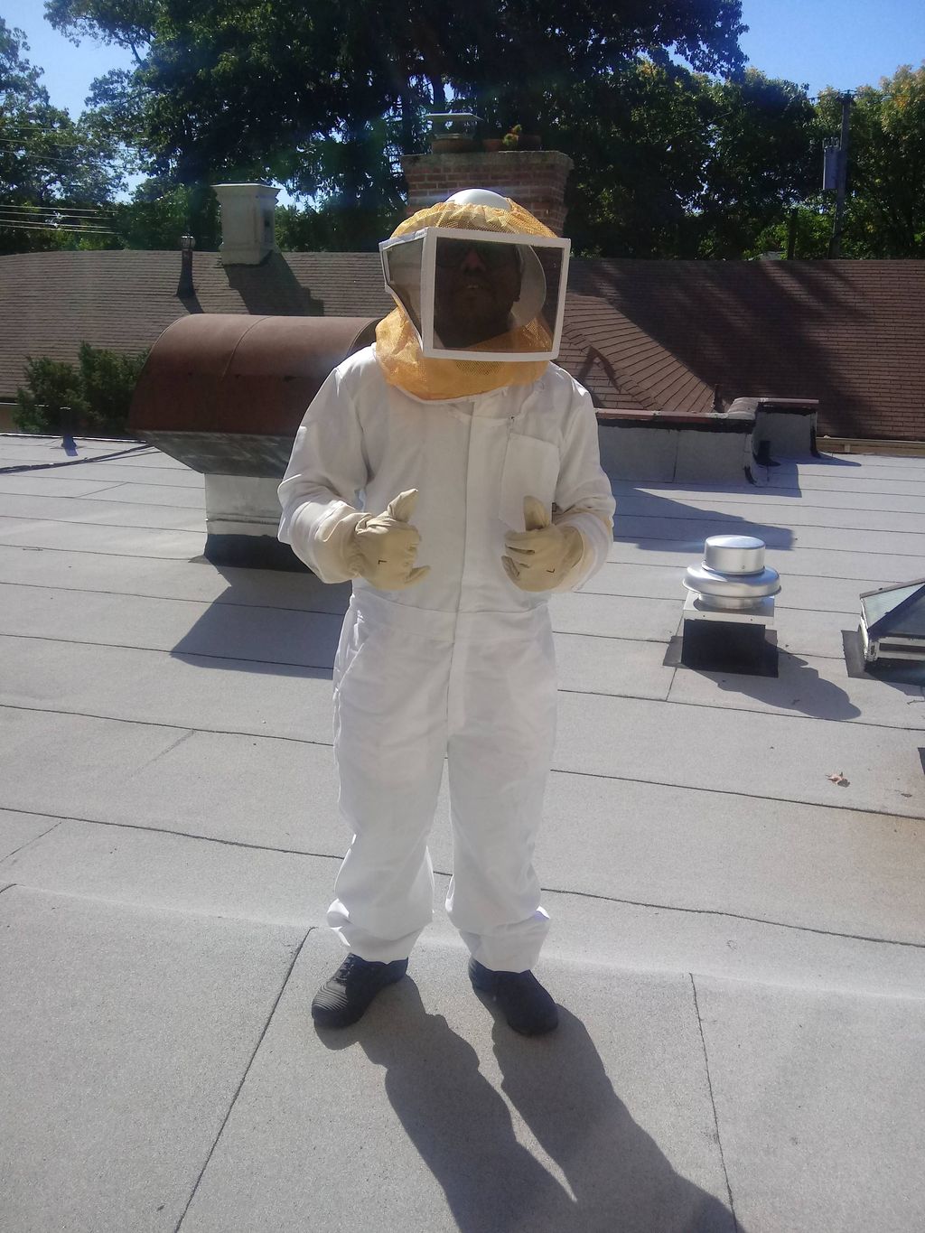 bee guy 