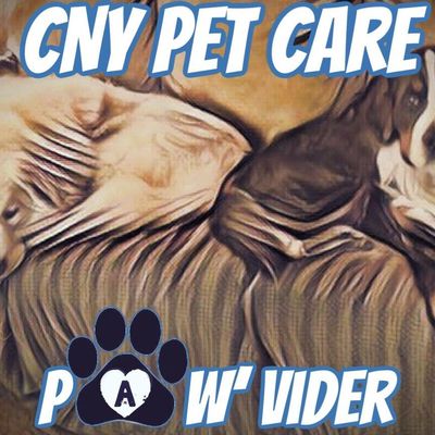 Avatar for CNY Pet Care "Paw"vider