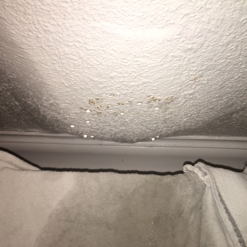 My roof leaked during the winter. I waited to repl