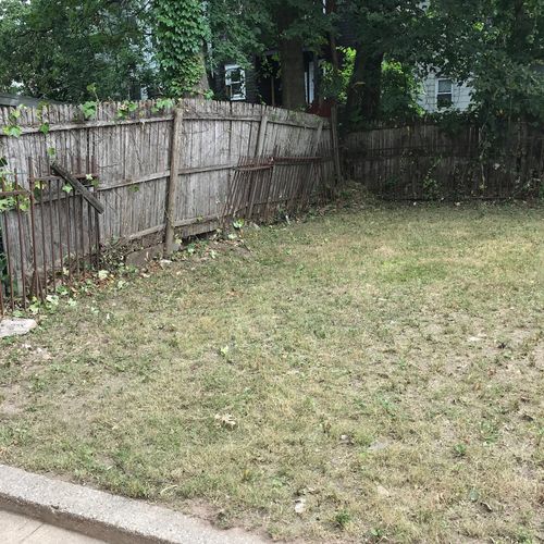 We are first time home owners and inherited a yard