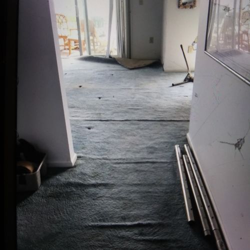 Carpet Repair or Partial Replacement