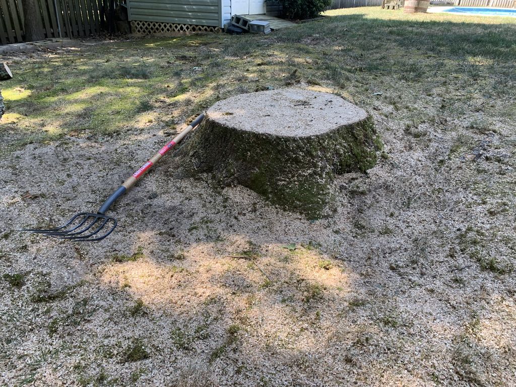 Tree Stump Grinding and Removal