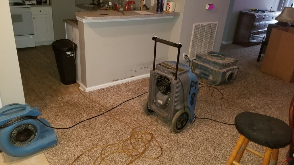 Water Damage Cleanup and Restoration