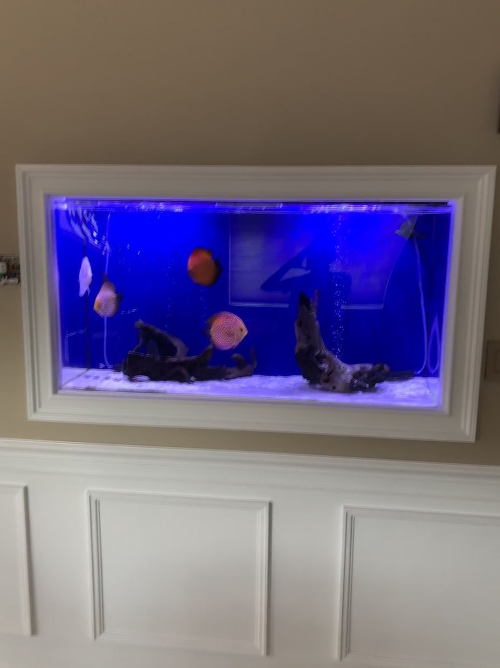Customer photos