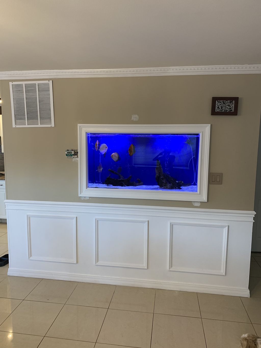 Customer photos