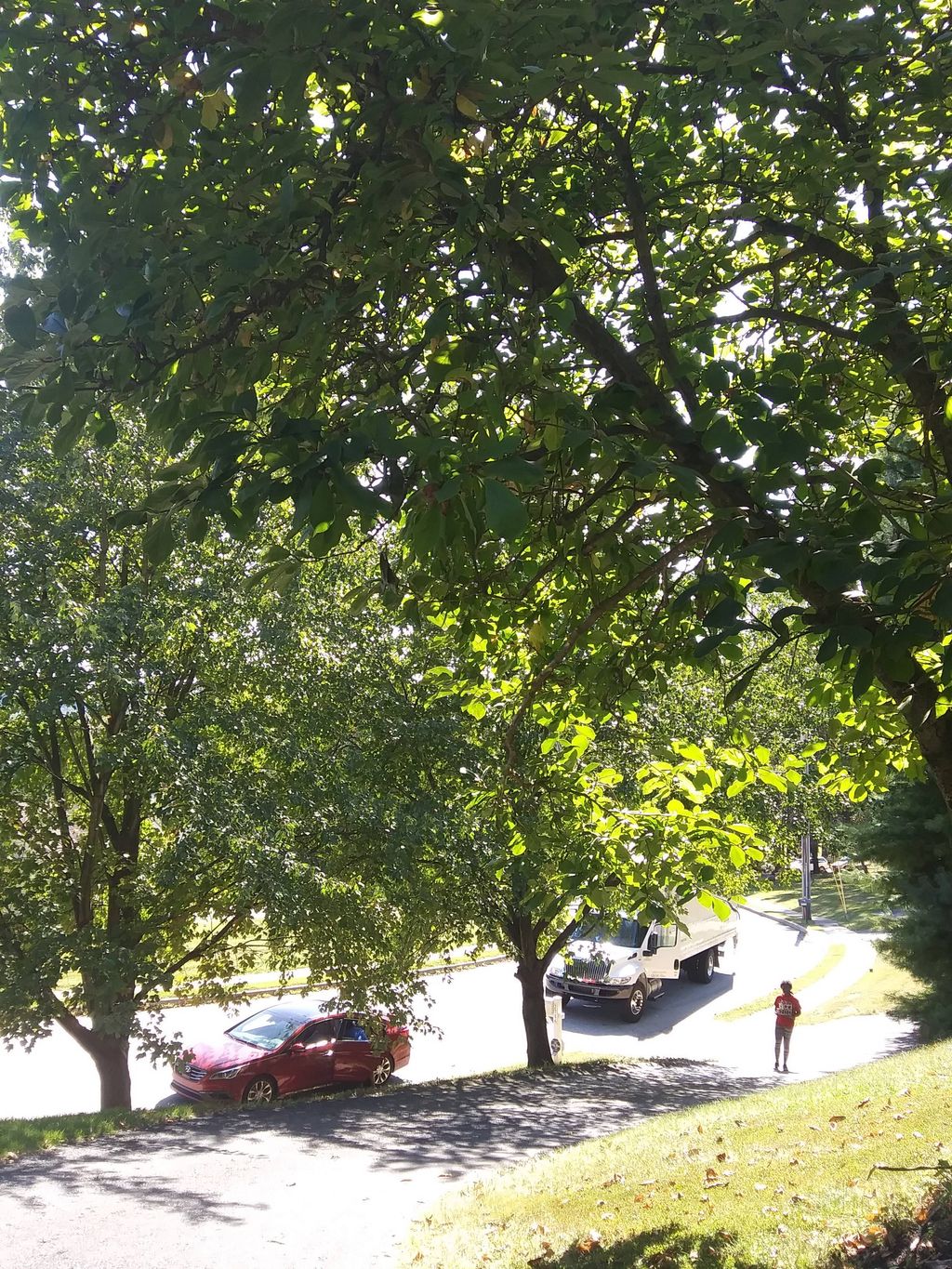 long, winding, uphill driveway was a challenge in 