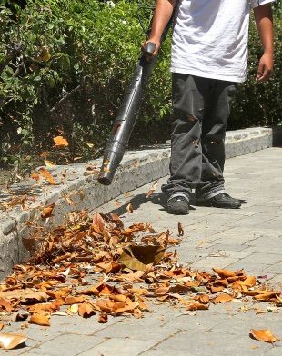 Leaf Removal service so your property looks amazin