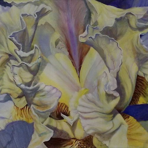 Acrylic 16x20 "Iris"