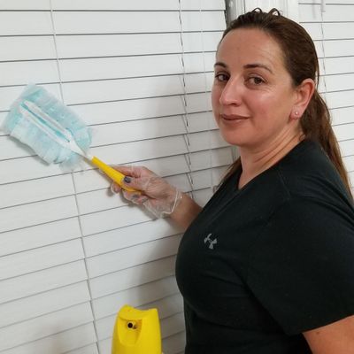 Avatar for BORGES CLEANING SERVICES