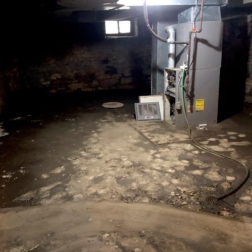 sewage in basement 
