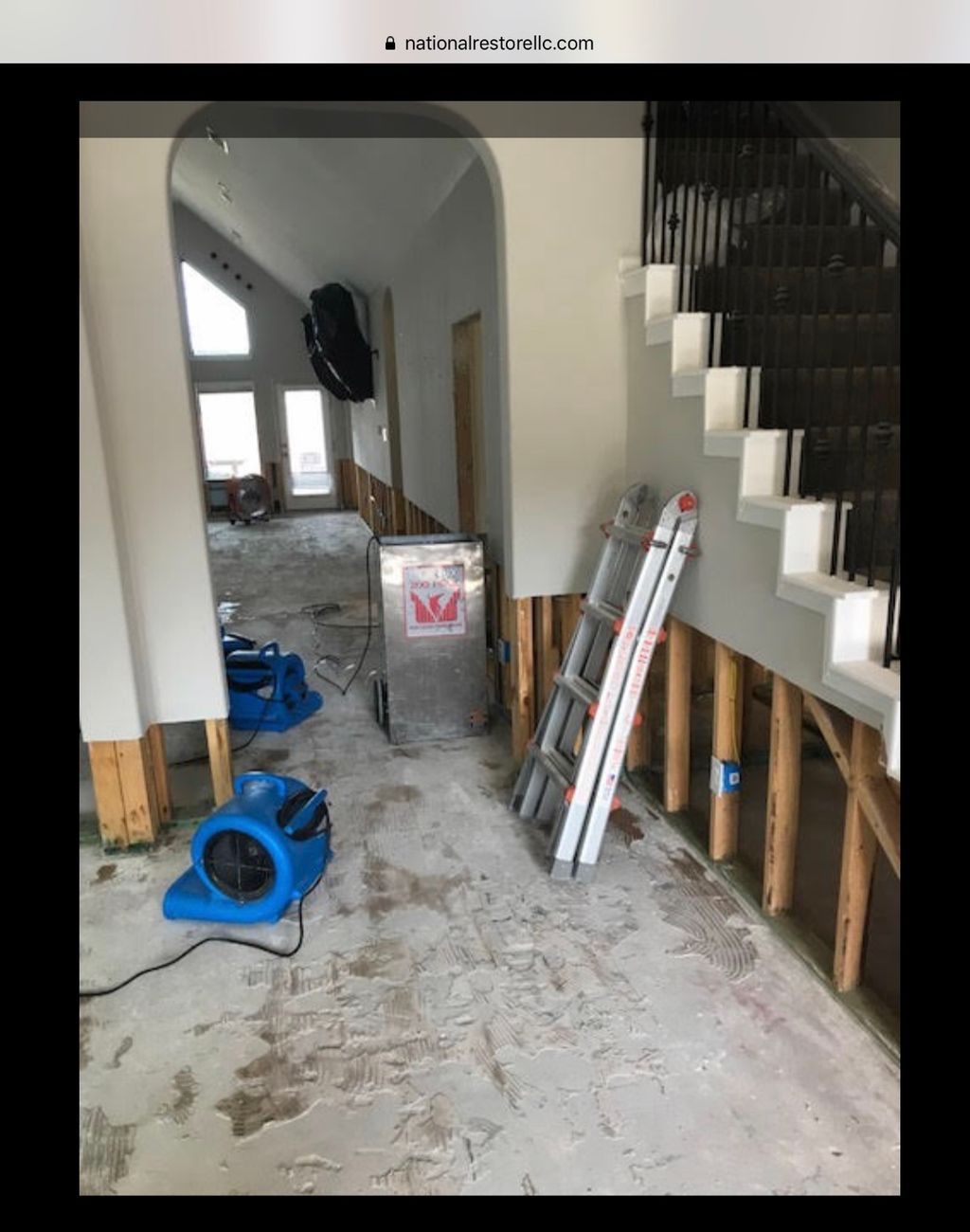 Projects and media