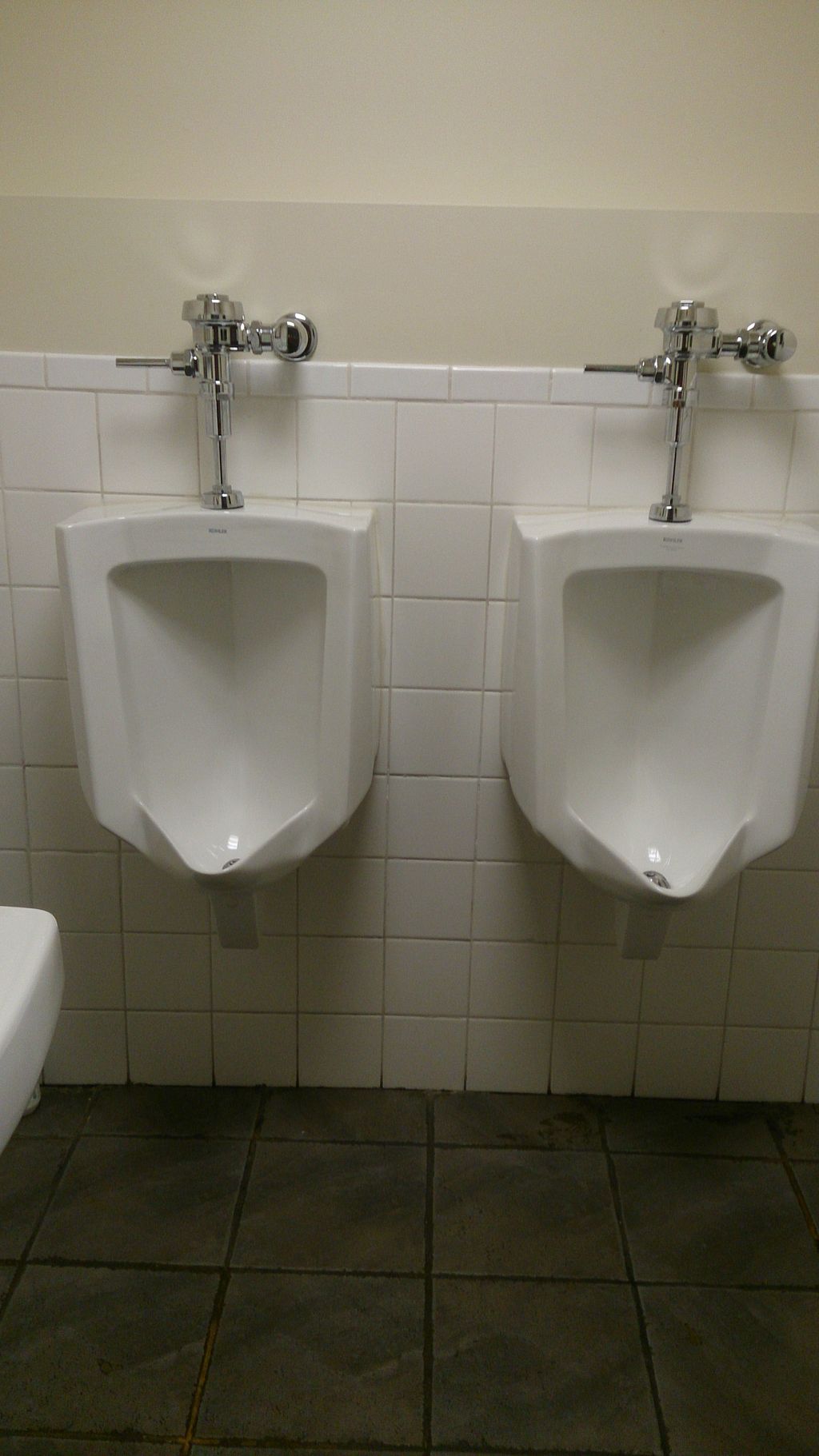 bathroom cleaning-urinals