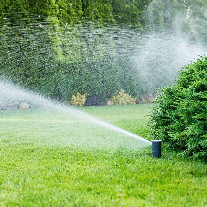 Sams Professional Landscapes service