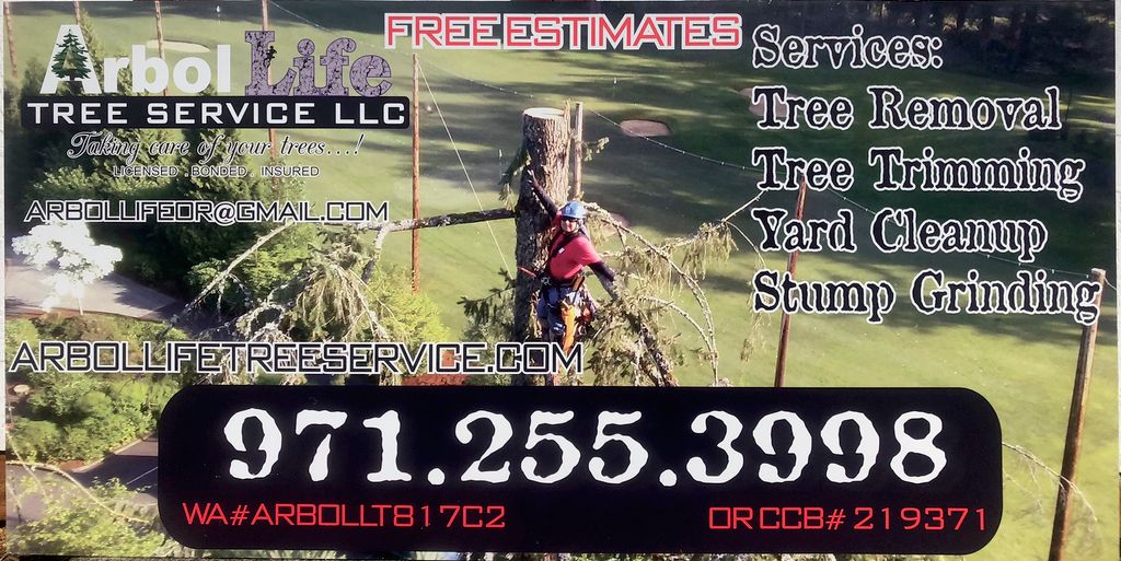 The 10 Best Tree Trimming Services In Portland, OR 2021