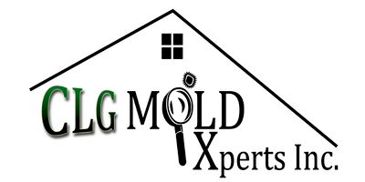 Avatar for CLG Mold Xperts Inc and Repair Services