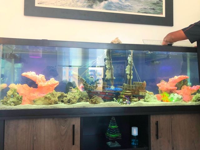 Customer photos