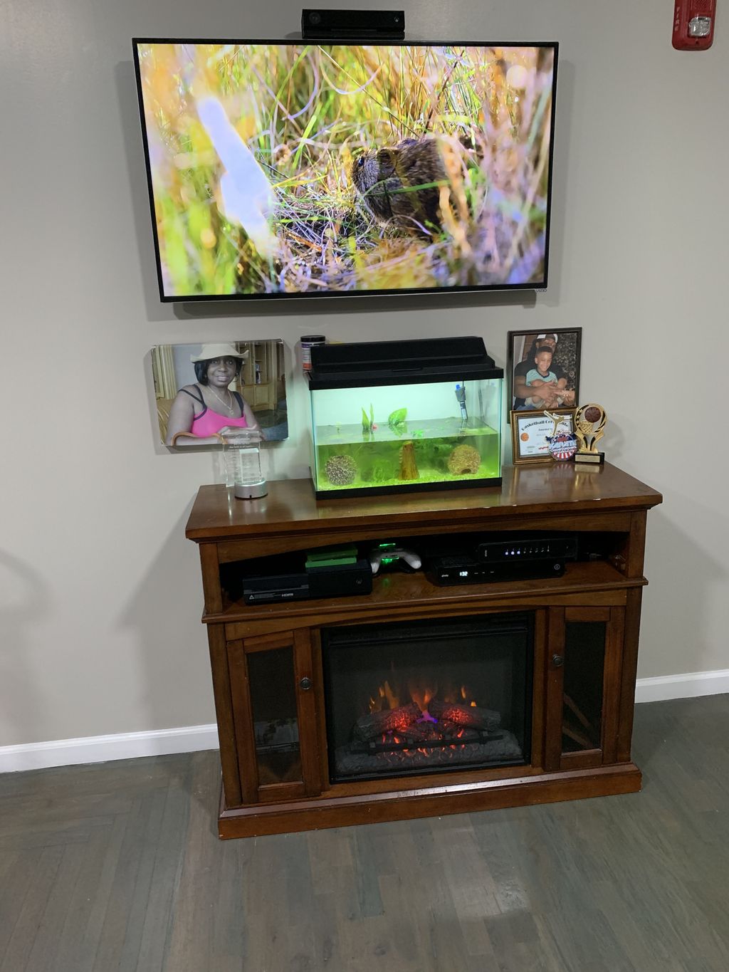 Projects and media