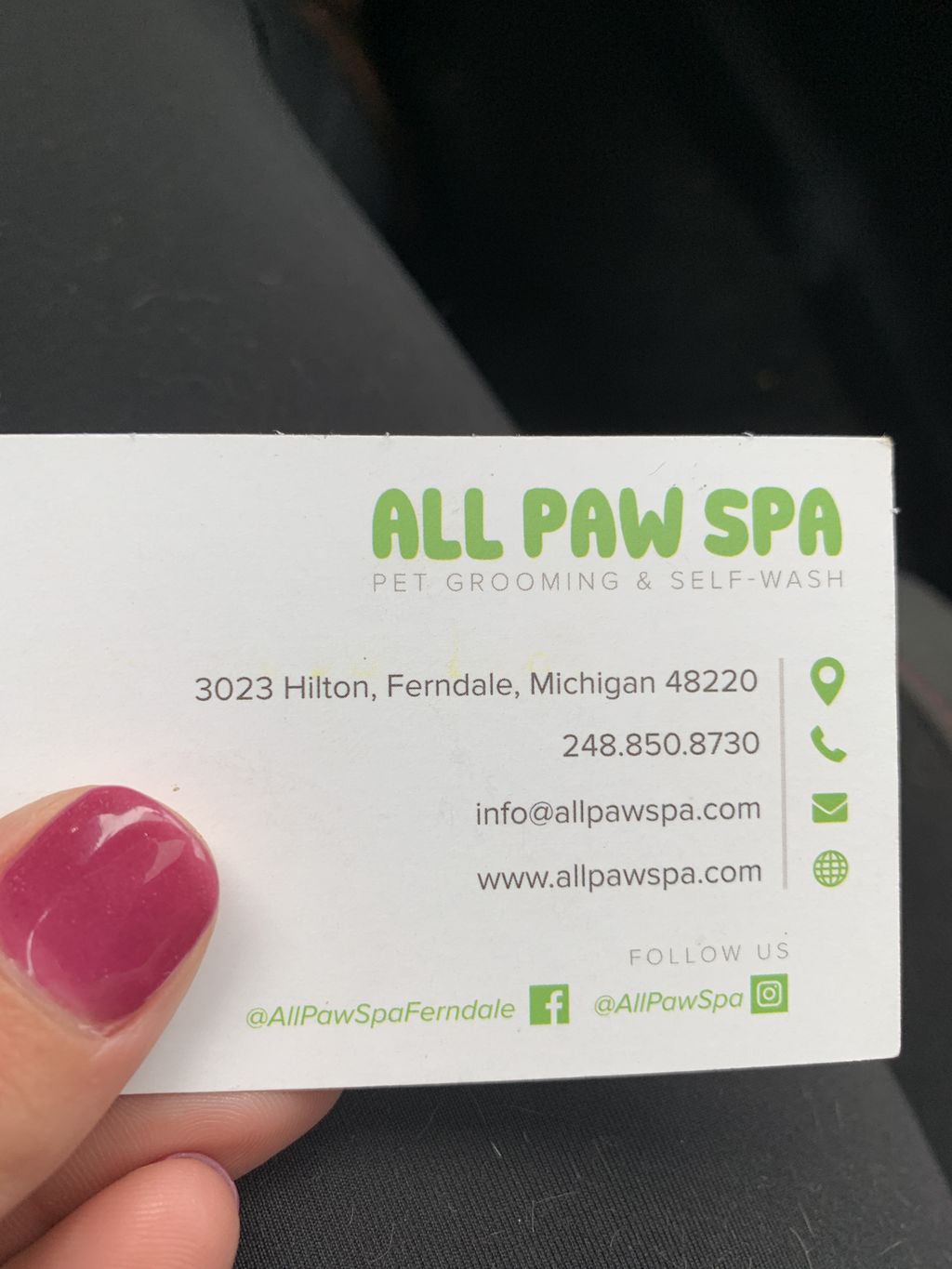 ALL PAW SPA