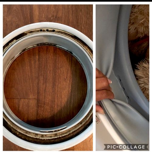 Imagine what your washer gasket looks like after y