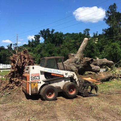 Rash after cutting trees, Ocala FL