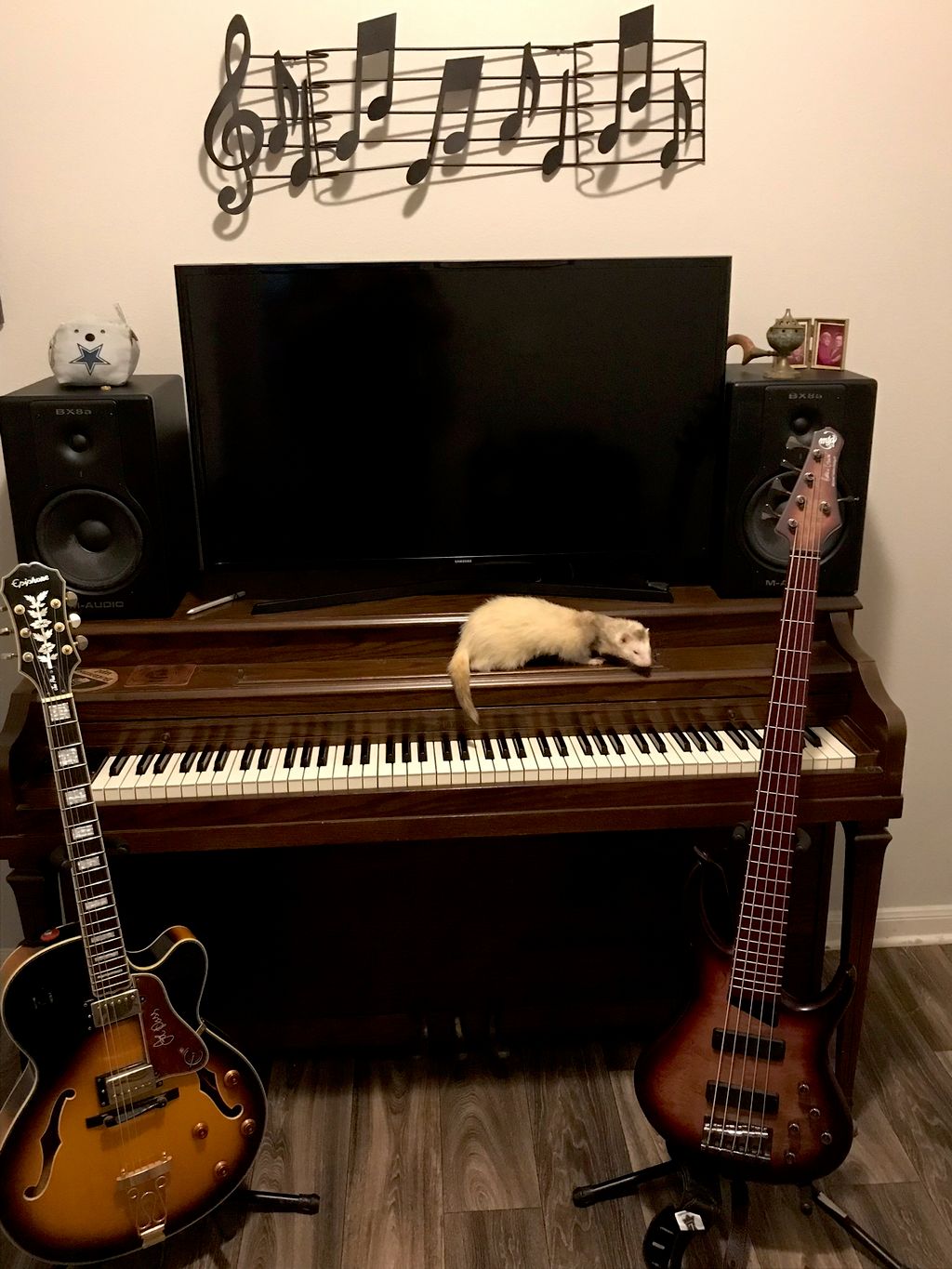 The Ferret plays piano, mostly avant- guard jazz.