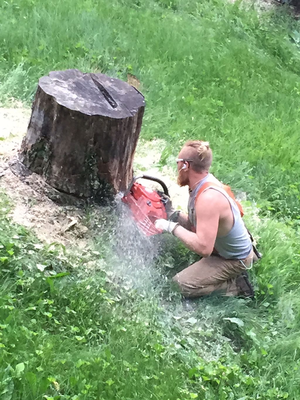 Lumberjack’s Tree Care