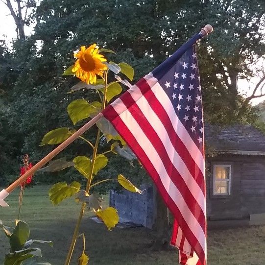 SUNFLOWER CONSTRUCTION LLC.