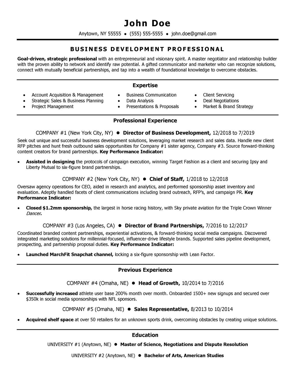 Resume Sample by RAJ Resume Services