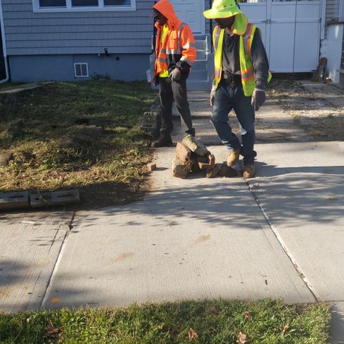 Lawn Mowing and Trimming