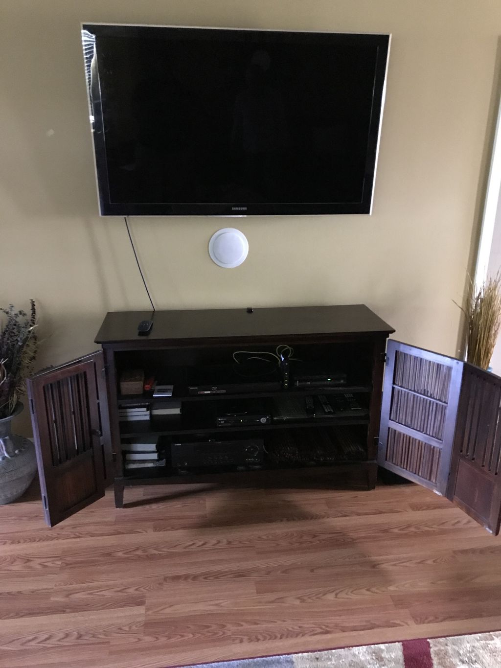 Home Theater System Repair or Service