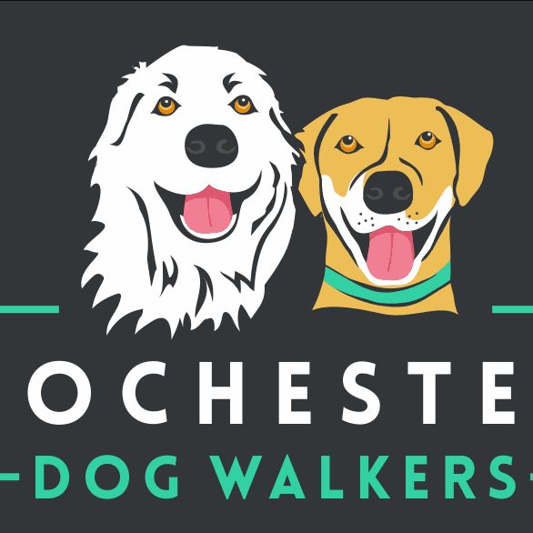 Rochester Dog Walkers