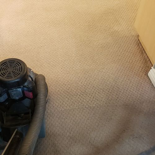 Carpet Cleaning Before/After