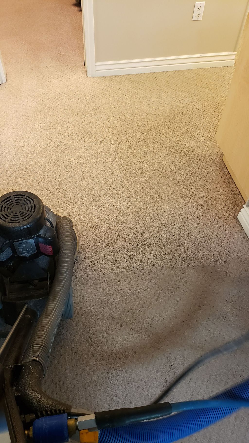 Carpet Cleaning Before/After