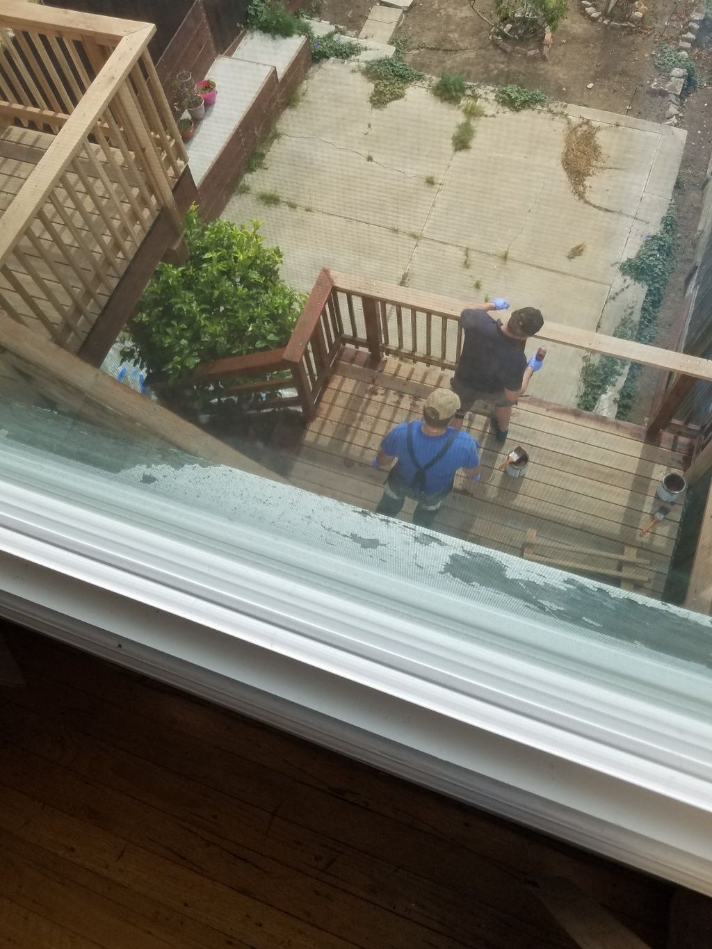 Customer photos
