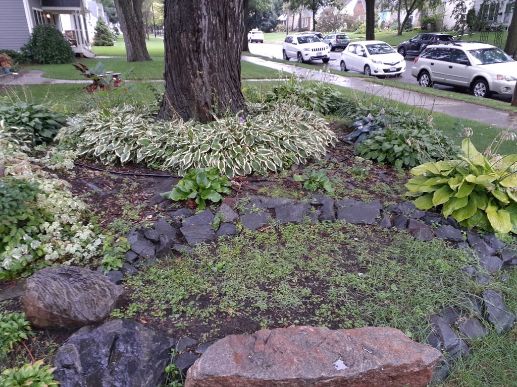 1 of 2 - Before project starting