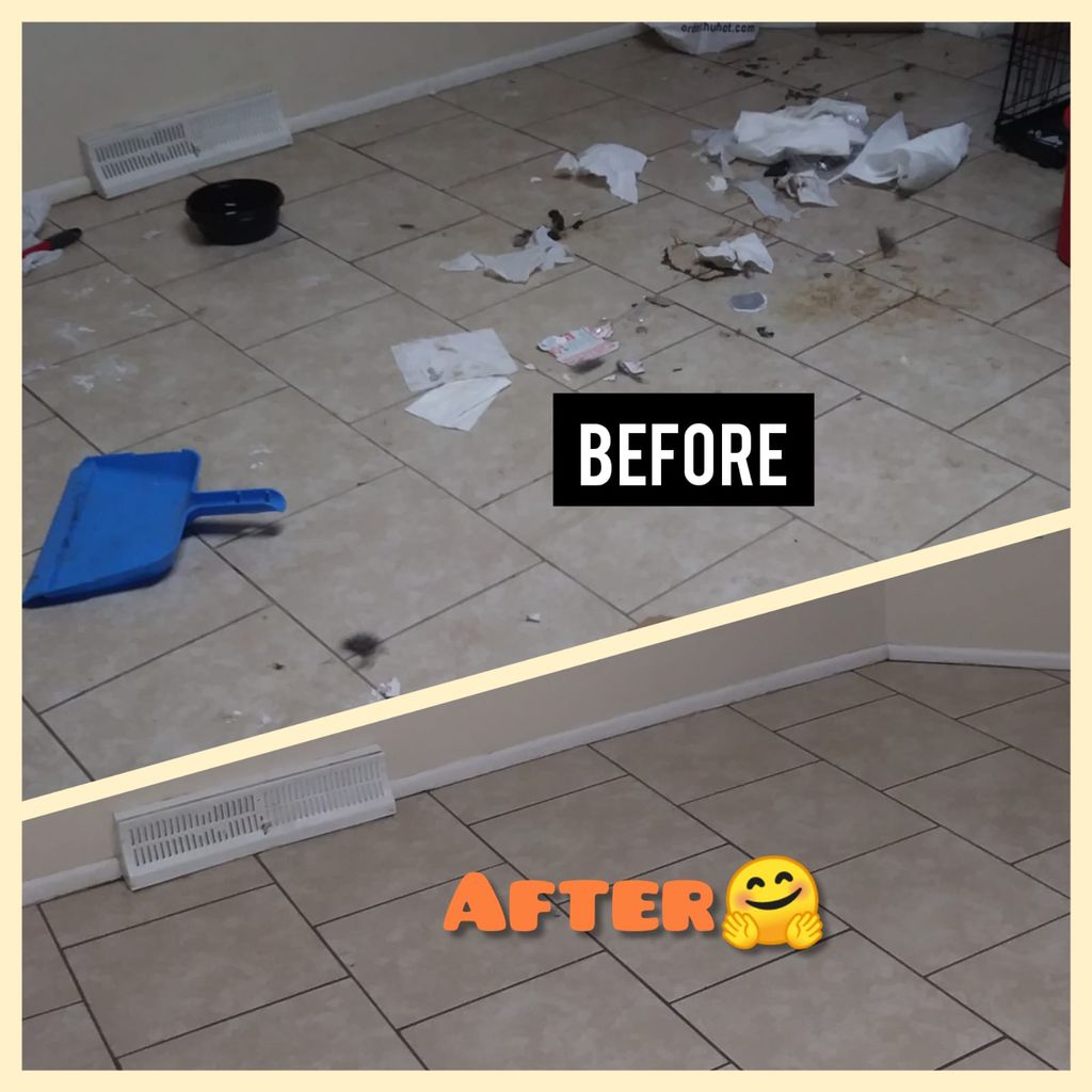 Before & after