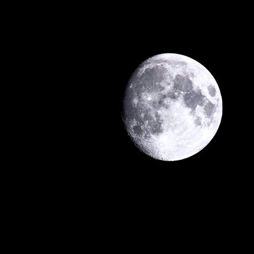Luz de Luna | Moonlight 