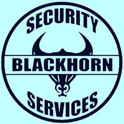 Avatar for BLACKHORN SECURITY SERVICES