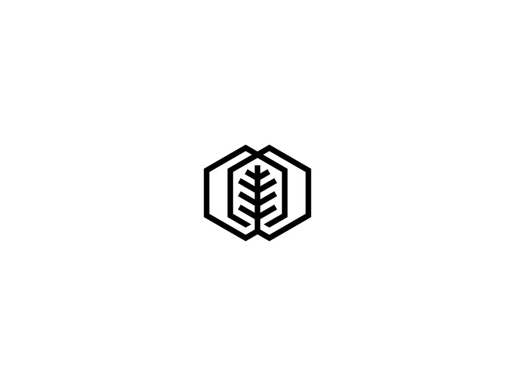 Leaf + Hexagon logo design