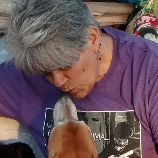Laurie Rhodes, Reiki for Pets & Their People