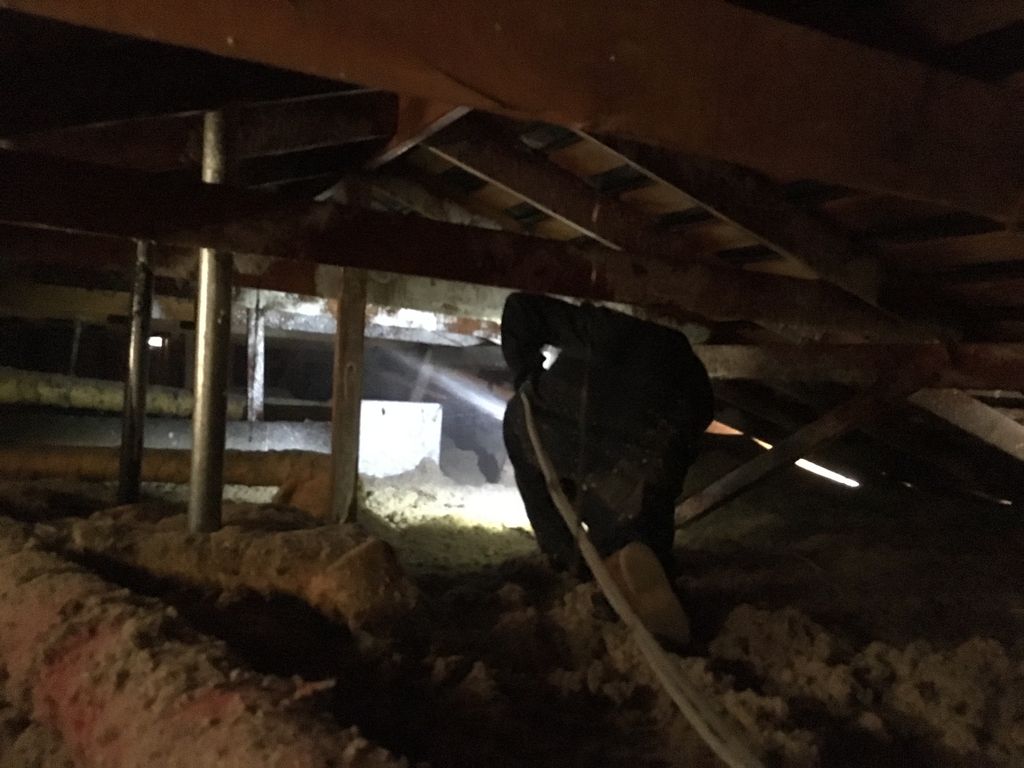 Technician in an attic spraying termite prevention